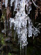 Silver Falls 12.10.05 032 